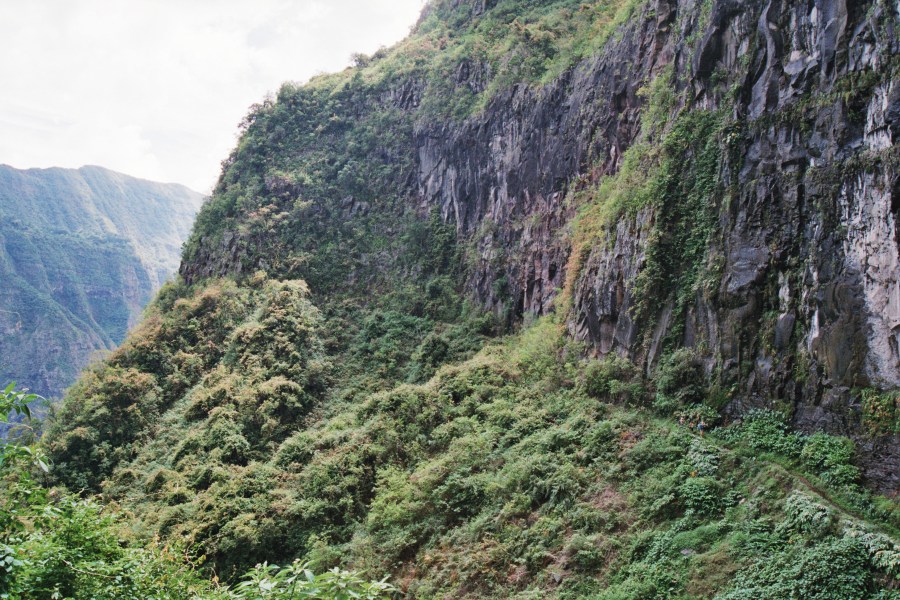 Canalisation des orangers 2