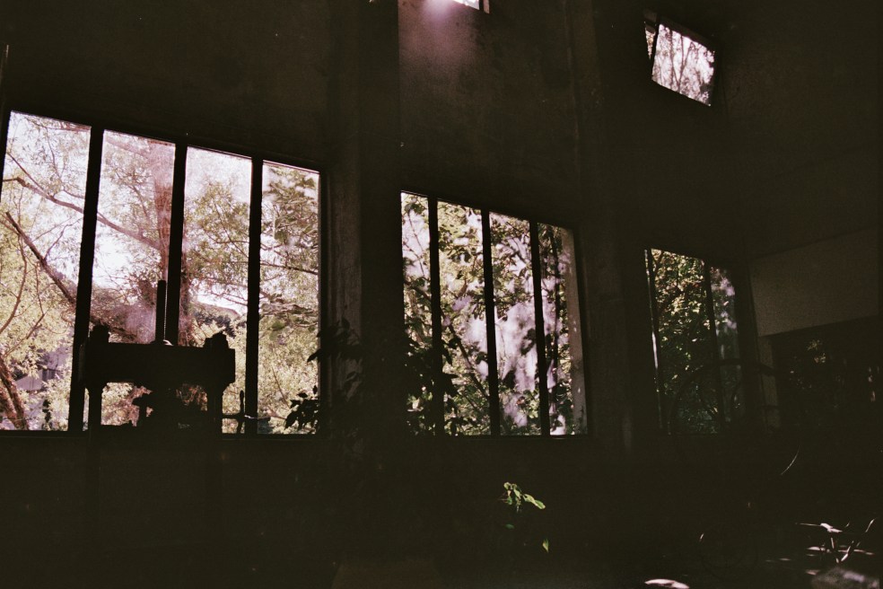 Fontaine du Vaucluse 6