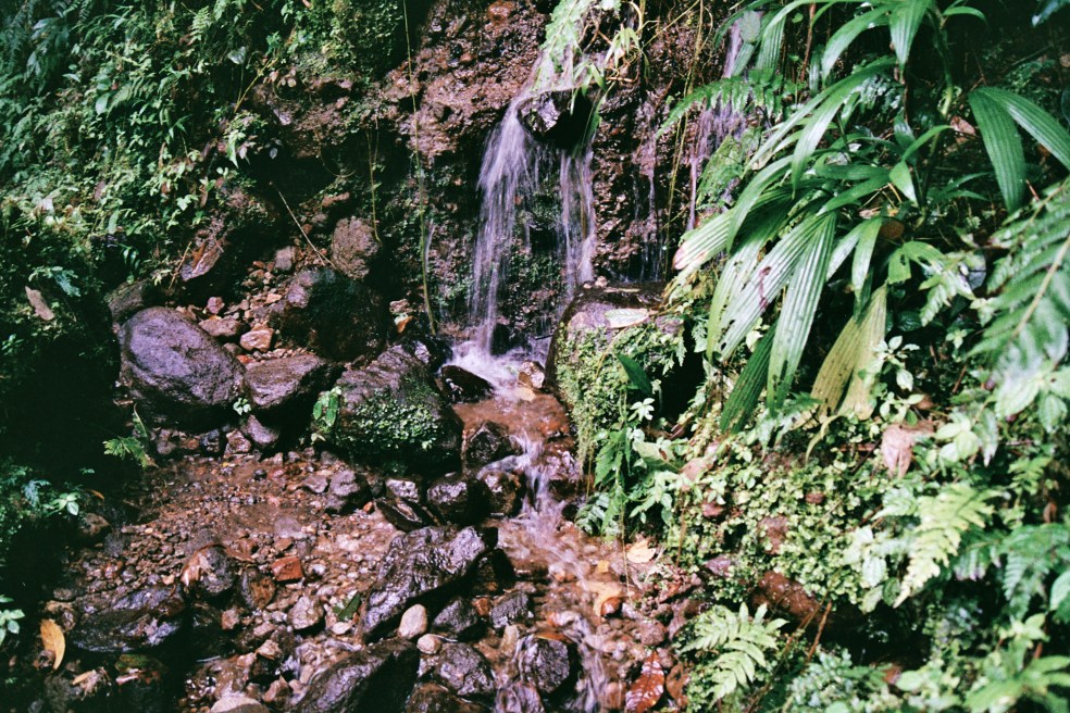 Cascade du Carbet 3